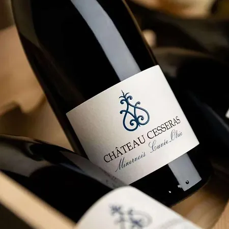 Holiday home Maison Vigneronne De Bonne Maman - Climatisee